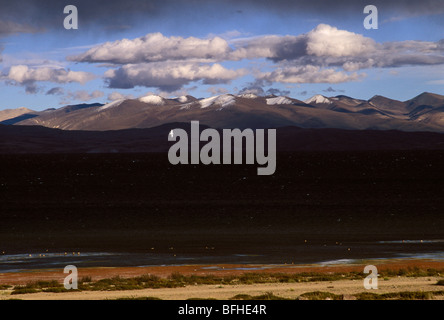 Monte Kailash visto da Chiu Gompa sulle rive del lago Manasarovar Foto Stock