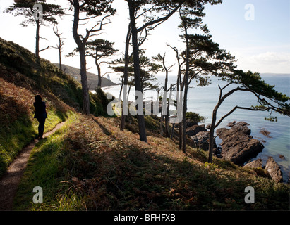 Una donna che cammina lungo un percorso sulla scogliera sulla penisola di Roseland in Cornovaglia Foto Stock