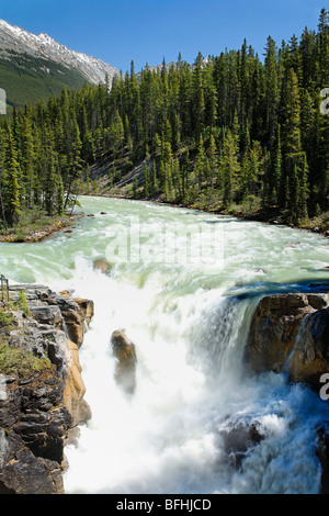 Cascate Athabasca proviene dal Columbia Glacier. Foto Stock