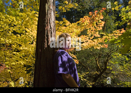 Vine Maple diventa giallo in ottobre autunno lungo il fiume McKenzie nella cascata montagne di Oregon Foto Stock