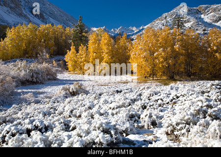 Quando cadono incontra inverno Foto Stock