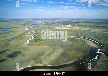 La tundra, Aulavik National Park, sponde nord Isola, NWT, Canada Artico Foto Stock