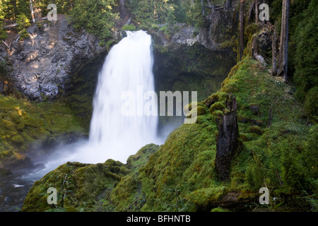 Sahalie cade sul fiume McKenzie nella centrale Oregon Cascade Mountains in Willamette National Forest. Foto Stock