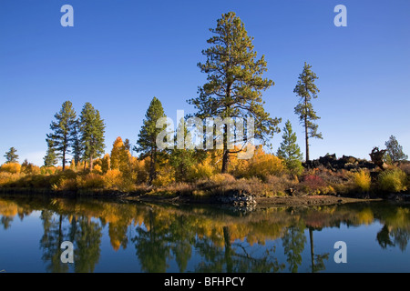 Aspens e salici girare oro in una zona ripariale lungo il fiume Deschutes sentiero vicino a Bend, Oregon, in un mese di ottobre autunno Foto Stock