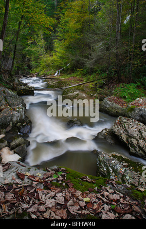 Glade Creek State Park West Virginia negli Stati Uniti nessuno dall'alto vista dall'alto in alto primo piano basso paesaggio naturale verde ad alta risoluzione verticale Foto Stock