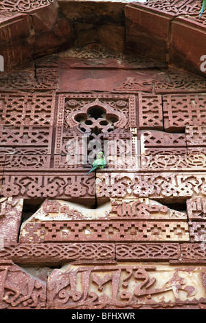 Architettura dettagli al Qutab Minar complesso, New Delhi, India. Foto Stock