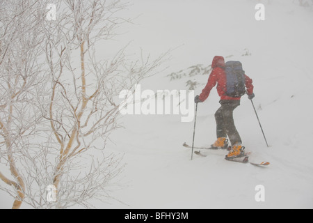 Uno sciatore uptracking in condizioni di neve in Furanodake backcountry, Hokkaido, Giappone Foto Stock
