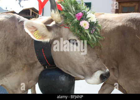 Cow Parade in Svizzera. decorate splendidamente mucche ritornano nei loro valley home dopo Summer Stage di altitudini più elevate. tipica tradizione svizzera Foto Stock