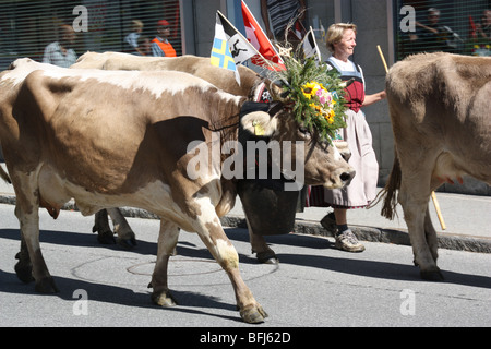 Cow Parade in Svizzera. decorate splendidamente mucche ritornano nei loro valley home dopo Summer Stage di altitudini più elevate. tipica tradizione svizzera Foto Stock