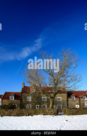 Neve invernale Bungalow villaggio a Goathland North Yorkshire Moors National Park England Regno Unito Foto Stock