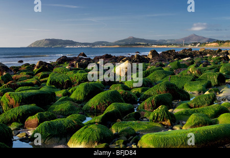 Killiney Bay, Dublino, Irlanda da White Rock Beach, con montagne di Wicklow in background Foto Stock