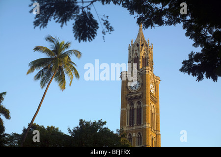 Il Rajabai clock tower presso l Università di Mumbai in India Foto Stock