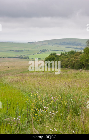 Sentiero pubblico vicino a Cissbury Ring nel West Sussex England Foto Stock