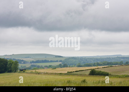 Sentiero pubblico vicino a Cissbury Ring nel West Sussex England Foto Stock