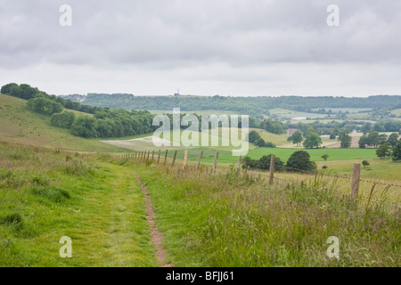 Sentiero pubblico vicino a Cissbury Ring nel West Sussex England Foto Stock