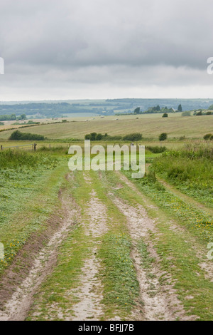 Sentiero pubblico vicino a Cissbury Ring nel West Sussex England Foto Stock