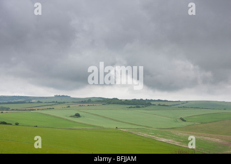 Sentiero pubblico vicino a Cissbury Ring nel West Sussex England Foto Stock