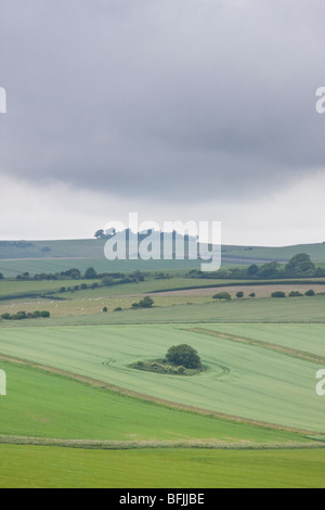 Sentiero pubblico vicino a Cissbury Ring nel West Sussex England Foto Stock