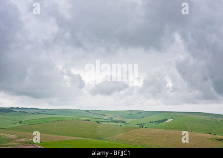 Sentiero pubblico vicino a Cissbury Ring nel West Sussex England Foto Stock