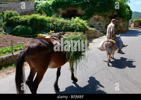 Uomo che cavalca un asino attraverso Dol, isola di Brac, Croazia Foto Stock