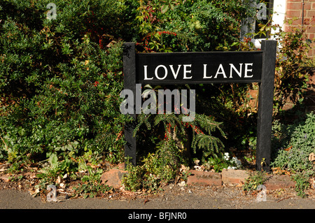 Cartello stradale per amore Lane Foto Stock