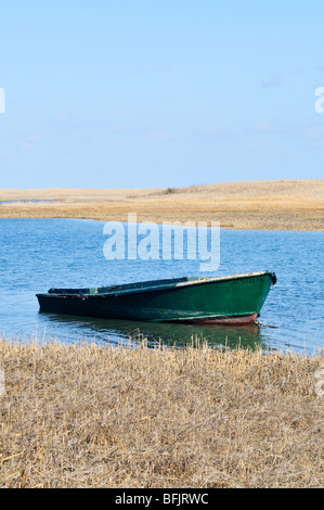 Parzialmente affondato vecchio legno verde skiff in Chatham, Cape Cod, STATI UNITI D'AMERICA Foto Stock