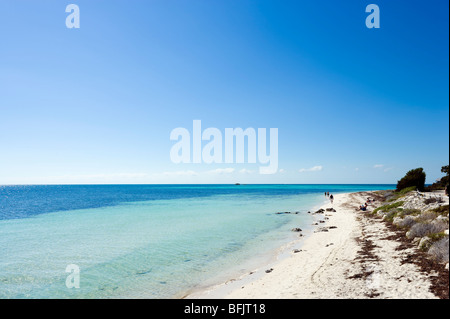 Caretta Beach, una delle spiagge di Bahia Honda State Park, Big Pine Key, Florida Keys, STATI UNITI D'AMERICA Foto Stock