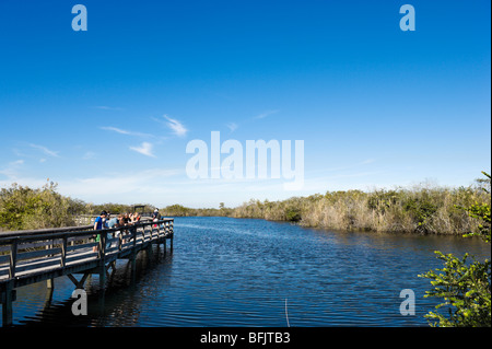 Visitatori sul Boardwalk alont Anhinga Trail, Royal Palm, Everglades National Park, Florida, Stati Uniti d'America Foto Stock