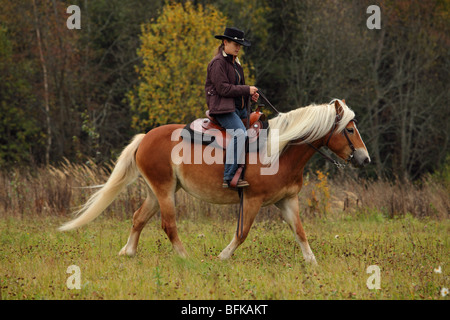 Cowgril sul cavallo al trotto Foto Stock