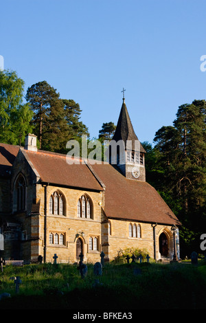 Holmbury St Mary chiesa a inizio estate 2009 Foto Stock