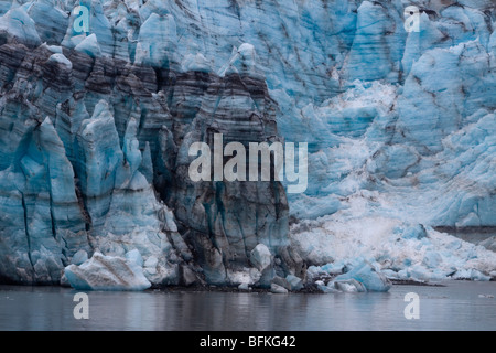 Reid ghiacciaio nel Parco Nazionale di Glacier Bay in Alaska Foto Stock