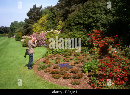 Regno Unito, Inghilterra, Wirral, Neston, visitatore in giardini Ness scattare fotografie di azalee Foto Stock