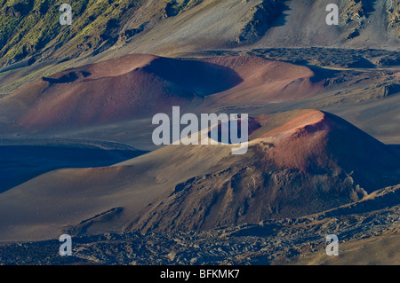 Pu'u'o Pele e Pu'u'o Maui i coni di scorie nel Cratere Haleakala; Haleakala National Park, Maui, Hawaii. Foto Stock