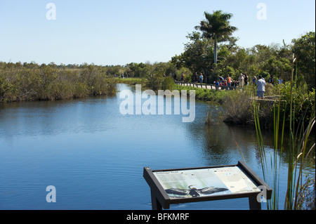 I visitatori su Anhinga Trail con una scheda di informazioni in primo piano, Royal Palm, Everglades National Park, Florida, Stati Uniti d'America Foto Stock