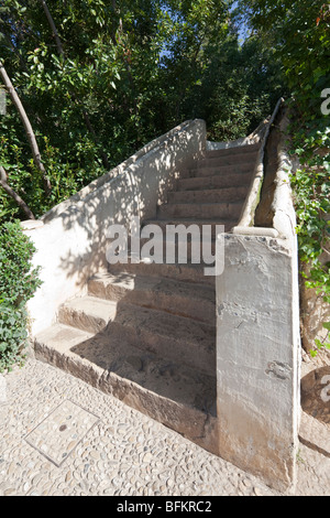 Acqua scalinata, Giardini Generalife, Alhambra Palace, Granada, Spagna Foto Stock