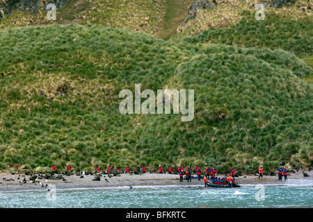 La nave di crociera i passeggeri a partire Maiviken escursione (a Grytviken), Isola Georgia del Sud Foto Stock