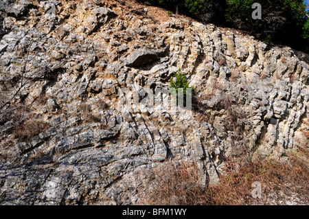 Si ripiega in calcare, Oklahoma, Stati Uniti d'America. Foto Stock