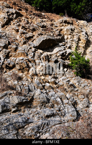 Si ripiega in calcare, Oklahoma, Stati Uniti d'America. Foto Stock