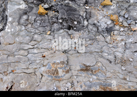 Affioramento di calcari, Oklahoma, Stati Uniti d'America. Foto Stock