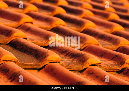 Primo piano di argilla rossa incastro tegole sfondo Foto Stock