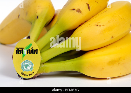 Banane originarie del Costa Rica frutto di Bataan etichetta Foto Stock