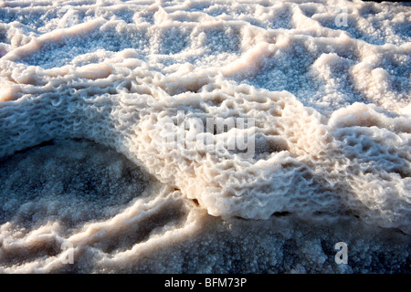 Israele, sali del Mar Morto formazione causata dall'evaporazione dell'acqua Foto Stock