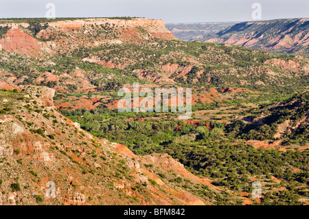 Vista del Palo Duro Canyon dal cerchione Foto Stock