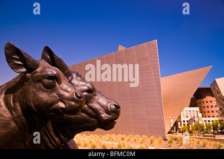 Il Dan Ostermiller scultura 'Scottish Angus Cow & vitello" presso il Denver Art Museum Denver Colorado USA Foto Stock