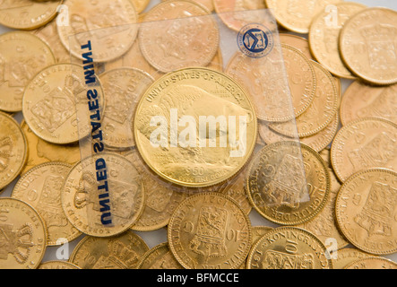 American Eagle, Sud Africa Krugerrand e fiorino olandese monete d'oro. Foto Stock