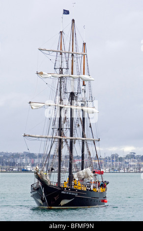 Spirito di Nuova Zelanda Addestramento alla vela di nave, Waitamata porto di Auckland, in Nuova Zelanda, giovedì 05 novembre, 2009. Foto Stock