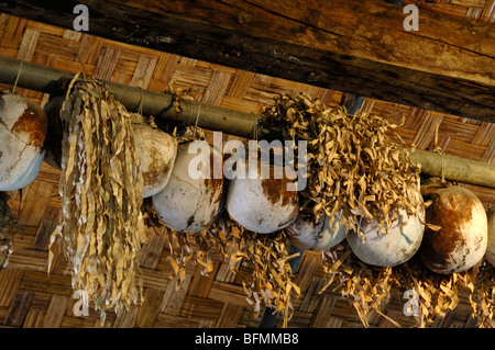 Teschi umani o trofei appesi in Kadazan Head-Hunter House, Monsopiad Villaggio Culturale, Kota Kinabalu, Sabah Borneo Malese Foto Stock