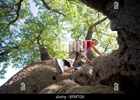 Bushmanland, Namibia. I bambini salire un gigante baobab vicino Tsumkwe Lodge. (MR) Foto Stock