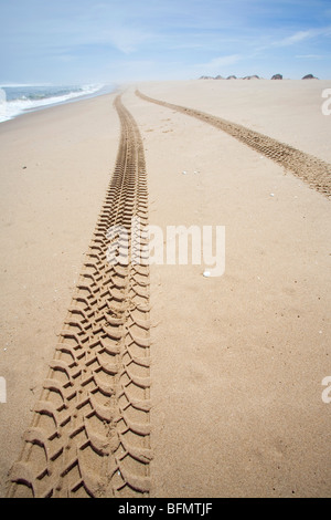 Skeleton Coast, Namibia. Turnstone Tours (MR) Foto Stock