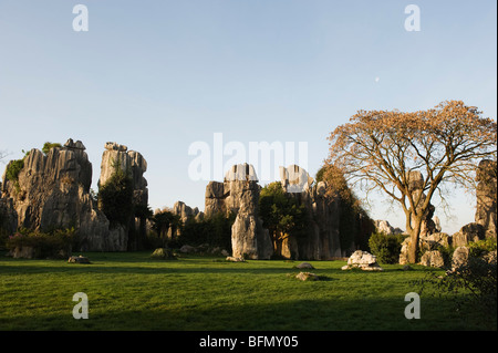 La Cina, nella provincia dello Yunnan, Shilin, Shilin Foresta di Pietra, Patrimonio Mondiale dell Unesco Foto Stock